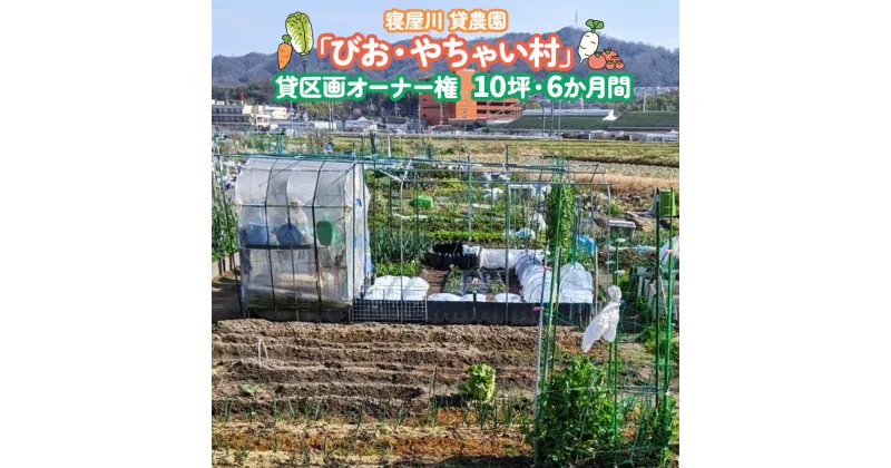 【ふるさと納税】寝屋川農園「びお・やちゃい村」貸区画オーナー権(10坪・6か月間)｜貸し農園 家庭菜園 自家栽培 収穫体験 農業体験 果物 野菜 数量限定 大阪府 寝屋川市 [0026]