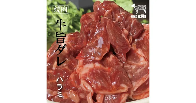 【ふるさと納税】[お肉屋さんオリジナル] 自家製ハラミダレ 800g (200g×4パック)｜焼肉 焼き肉 味付け肉 お肉 肉 牛肉 惣菜 冷凍 簡単調理 おかず おつまみ 贈答用 贈り物 ギフト 個包装 小分け 包装 パック [0441]