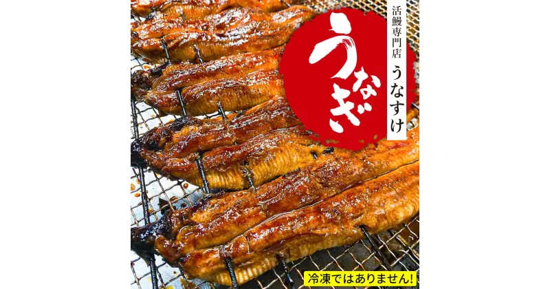 【ふるさと納税】国産うなぎ蒲焼き (2匹)｜名店 鰻 ウナギ うな丼 鰻丼 冷蔵 クール便 ひつまぶし 丑の日 簡単調理 [0851]