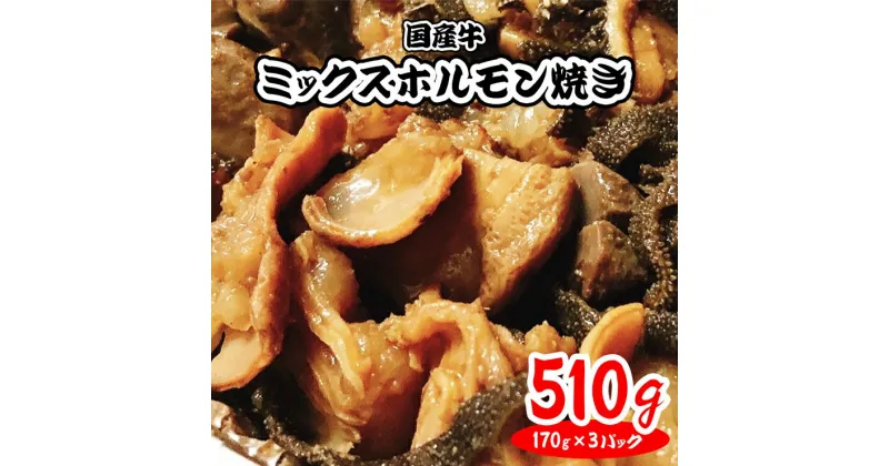 【ふるさと納税】[チンするだけ！]【秘伝のタレ漬け】国産牛ミックスホルモン焼き510g(170g×3パック)[鮮度を保つCAS冷凍]｜味付け肉 加工品 お惣菜 おかず おつまみ 冷凍 簡単調理 小分け キャンプ パーティー 宅のみ 宅飲み [0574]