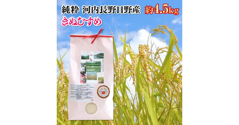 【ふるさと納税】※令和6年10月7日より順次発送※　国際コンクール受賞 純粋 河内長野日野産米 約4.5kg