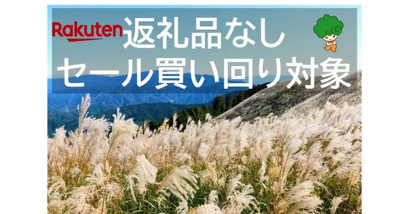 【ふるさと納税】【買い回り対象】河内長野市を応援してください！　大阪府河内長野市　応援寄付金　1000円　ふるさと納税（謝礼品なし）