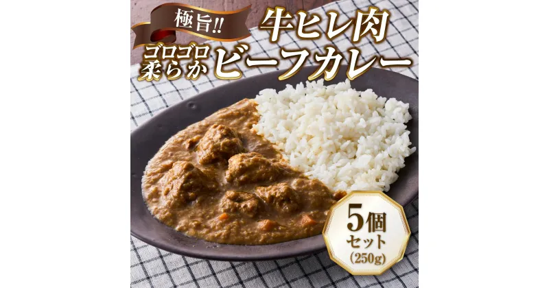 【ふるさと納税】極旨！牛ヒレ肉ゴロゴロ柔らかビーフカレー（250g）5個セット