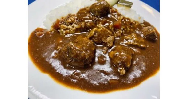 【ふるさと納税】極旨！牛ヒレ 肉 ゴロゴロ 柔らか ビーフ カレー（250g）7個セット 牛肉 冷凍 湯煎 お取り寄せ ギフト クリスマス ランチ ディナー 送料無料