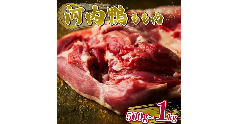 【ふるさと納税】 河内鴨もも肉 500g-1kg 人気 ギフト プレゼント 贈答品 贈答用 お持たせ お取り寄せ 贈り物 鴨 かも カモ 鴨肉 かも肉 カモ肉 肉 美味しい おいしい 贈答 お祝い 内祝い 大阪府 松原市