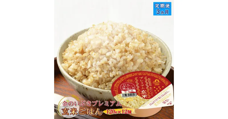 【ふるさと納税】 定期便3ヶ月 玄米ごはん120g×12個 パックごはん パックご飯 ご飯パック パック米 パックライス レトルトご飯 防災 金のいぶきプレミアム玄米ごはん 120g 金のいぶきプレミアム 金のいぶき 玄米ごはん 大阪府 松原市