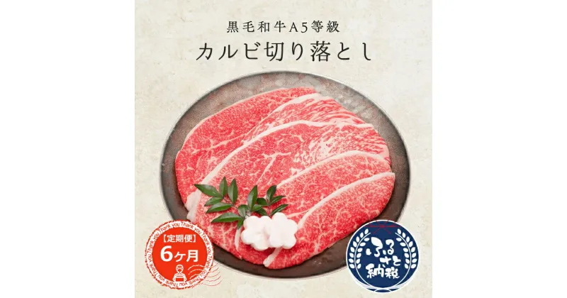 【ふるさと納税】 定期便6ヶ月 A5 カルビ 切り落とし1kg 200g×5切 黒毛和牛 小分け 国産 牛 牛肉 肉 赤身 お肉 霜降り 贈答品 ギフト お祝い プレゼント 冷凍 焼肉 アウトドア 高級 お取り寄せ 大阪府 松原市