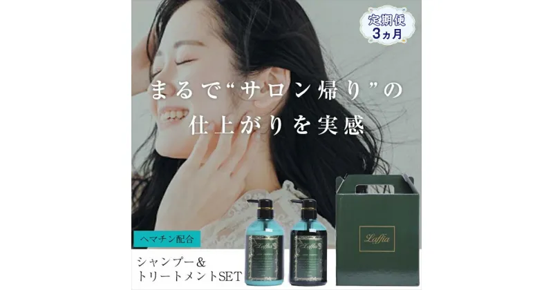 【ふるさと納税】 定期便3ヵ月 シャンプー＆トリートメント 2点セット 500ml ヘマチン ノンシリコン ダメージケア 髪補修 ヘアケア ギフト ャンプー トリートメント 500ml ヘマチン ノンシリコン ダメージケア 髪補修 ヘアケア ギフト ヘアケア ギフト 大阪府 松原市