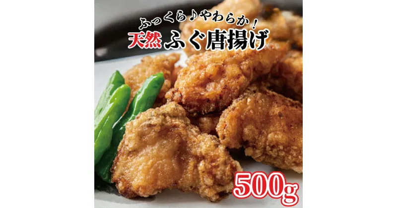 【ふるさと納税】 ふぐ 唐揚げ 500g 冷凍 揚げるだけ 唐揚げ粉付き国産 天然 まふぐ フグ 河豚 真ふぐ 鮮魚 魚 海鮮 魚介 プレゼント ギフト 贈り物 ビール 酒 の おつまみ 惣菜 お弁当 ごはんのお供 おやつ 晩ごはん 年末年始 お酒のお供 大阪府 松原市