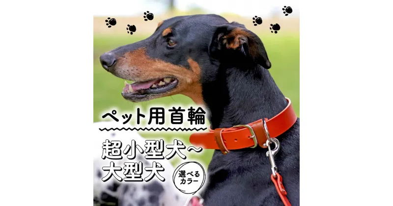 【ふるさと納税】 ペット用首輪 選べる カラー サイズ 超小型犬-大型犬 ペット 犬 愛犬 ワンちゃん 超小型犬 首輪 リード 本革 レザー 牛革 牛 散歩 さんぽ ウォーキング 健康 おしゃれ 消耗品 大阪府 松原市