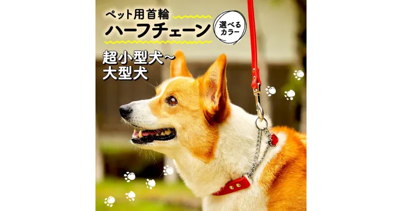 【ふるさと納税】 ペット用首輪 ハーフチェーン 選べるカラー サイズ 超小型犬-大型犬 本革 ペット 犬 愛犬 ワンちゃん 超小型犬 小型犬 中型犬 大型犬 首輪 リード 本革 レザー 牛革 牛 散歩 さんぽ ウォーキング 健康 おしゃれ 消耗品 大阪府 松原市