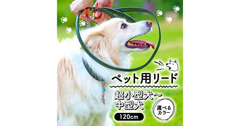 【ふるさと納税】 ペット用 リード 120cm 選べるカラー サイズ 超小型犬 小型犬 中型犬 本革 ペット 犬 愛犬 ワンちゃん 超小型犬 首輪 リード 本革 レザー 牛革 牛 散歩 さんぽ ウォーキング 健康 おしゃれ 消耗品 大阪府 松原市