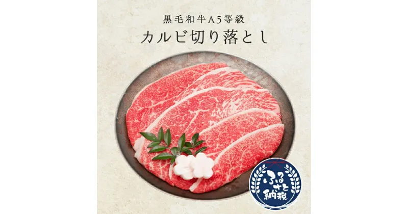 【ふるさと納税】 創業100年老舗和牛専門卸厳選 黒毛和牛A5等級カルビ切り落とし1.0kg 200g×5 国産 小分け お肉 牛肉 創業100年老舗和牛専門卸厳選 黒毛和牛 A5等級カルビ切り落とし 和牛専門店 大阪府 松原市