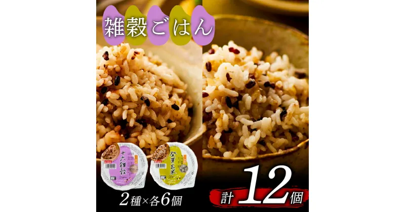 【ふるさと納税】 雑穀ごはん 2種 160g 計 12個 発芽玄米ごはん 十六雑穀ごはん 160g 2種 各6個 お米 レトルト 食品 無添加 国産 レンジで簡単 温めるだけ ギフト 引っ越し 挨拶 出産 内祝い お歳暮 備蓄米