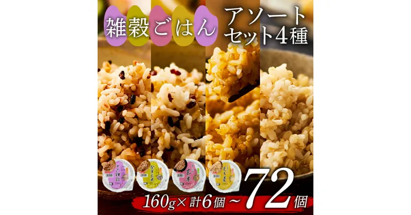 【ふるさと納税】 雑穀ごはん アソートセット 4種 160g×6個 から 72個 十六雑穀 発芽玄米 金のいぶき玄米 もち麦 160g 4種 6個 12個 24個 48個 72個 お米 レトルト 食品 無添加 国産 レンジで簡単 温めるだけ ギフト 引っ越し 挨拶 出産 内祝い お歳暮 備蓄米