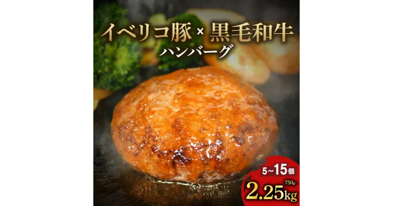 【ふるさと納税】 イベリコ豚 黒毛和牛 合いびきハンバーグ 選べる容量 750g-2.25kg 小分け 150g×5個‐15個 国産 牛肉 国産牛 豚肉 合挽き 合い挽き ハンバーグ 冷凍 手作り 手ごね 和牛 簡単調理 真空 パック おかず 惣菜 晩ごはん 選べる 贅沢 ギフト 贈答 大阪府 松原市