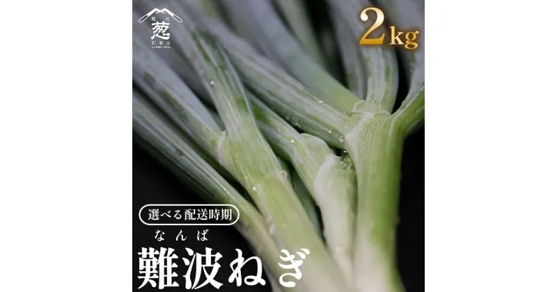 【ふるさと納税】 先行予約 難波葱 2kg 年内配送 ねぎ 葱 鍋 青ねぎ 白ねぎ 野菜 旬 やさい 産地直送 採れたて 直送 フルーツ 果物 と同糖度 なにわ 伝統野菜 鍋セット 河内 大阪府 松原市