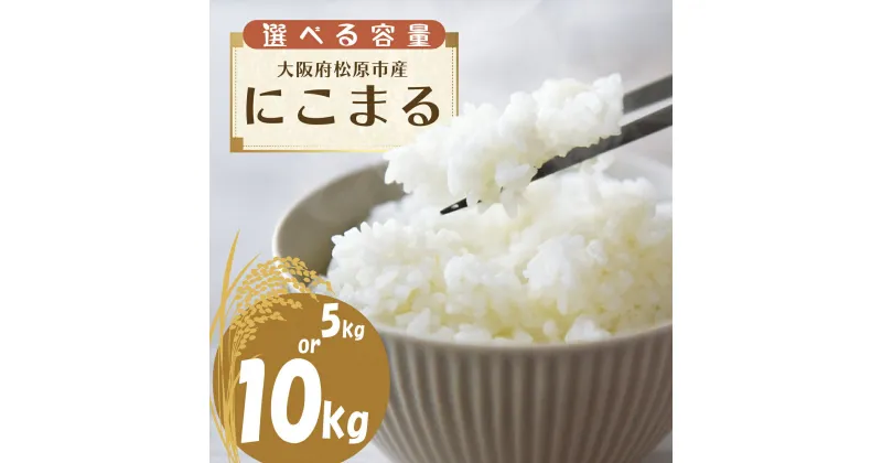 【ふるさと納税】 米 令和6年産 5kg 10kg にこまる お米 精米 米 ごはん ご飯 2024年産 ブランド 米 おすすめ 米 産地直送 白米 白飯 ライス お粥 おにぎり 新米 こめ 大阪産 にこまる 備蓄 災害 防災 こめ 大阪府 松原市